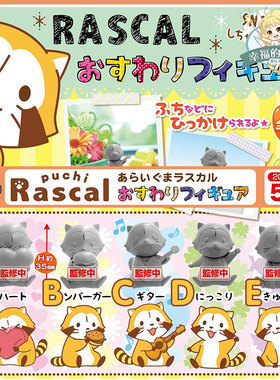日本扭蛋Rascal可爱小浣熊坐姿酒柜汽车拍照摆件拉斯卡尔盒蛋