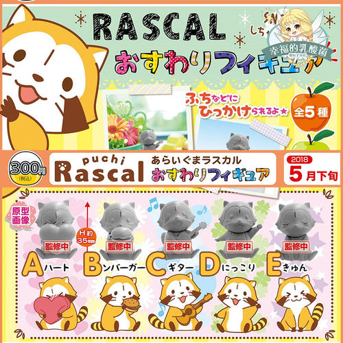 盒蛋扭蛋Rascal小浣熊坐姿