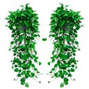 绿萝盆栽室内净化空气植物花卉水养绿植吊兰长藤垂吊新房家用绿箩