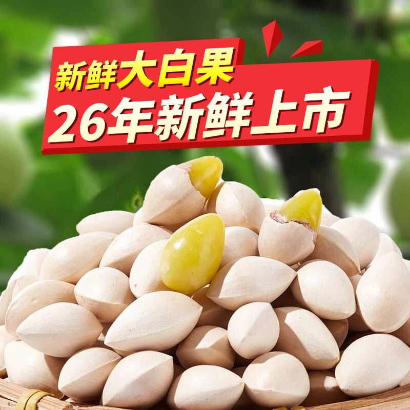 2026年新鲜大颗带壳白果银杏果无漂白泰兴特级包邮干货生百果银杏图片