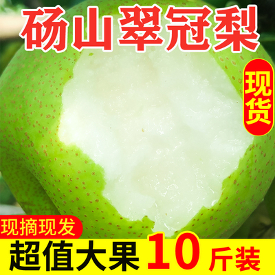 梨子水果包邮新鲜应季整箱10斤批发皇冠梨青梨香雪梨翠冠梨砀山梨