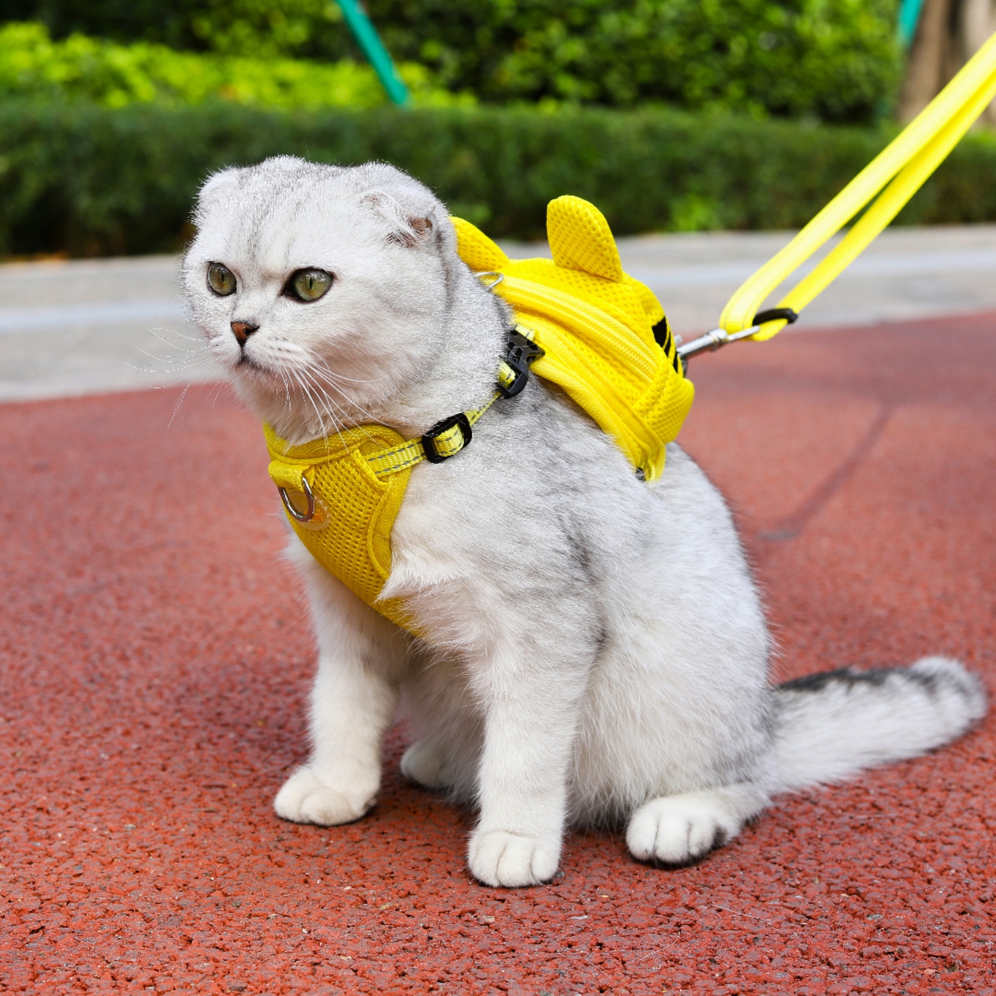 Ondoing狗狗猫咪牵引绳幼犬胸带