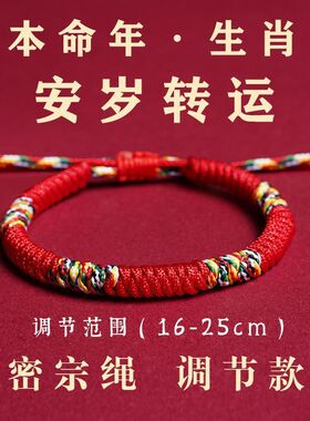 本命年手绳女款端午节五彩绳金刚结手链国风手工编织好运红绳