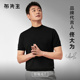 羊毛衫 MrBu布先生短袖 小高领可机洗打底针织t恤男 佟大为同款