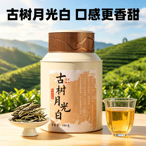 冷泡茶古树月光白散茶花香冰糖韵