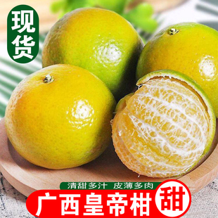 农家自种正宗广西皇帝柑新鲜桔子清甜可口贡柑青皮柑橘甜9斤5整箱