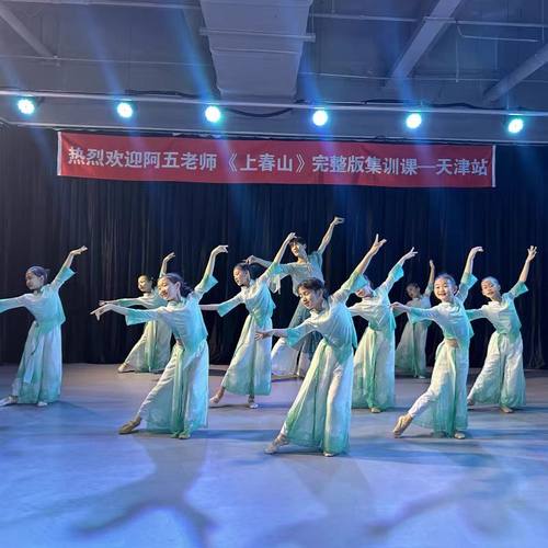 儿童古典舞演出服上春山女童中国舞练功服身韵舞台表演服古风新款