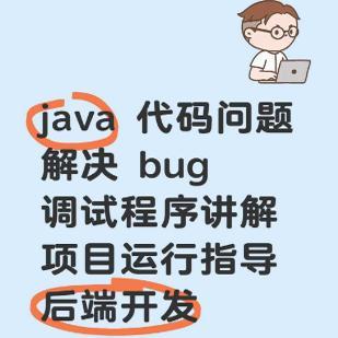 java代码问题解决bug调试修改程序讲解项目运行指导软件后端开发