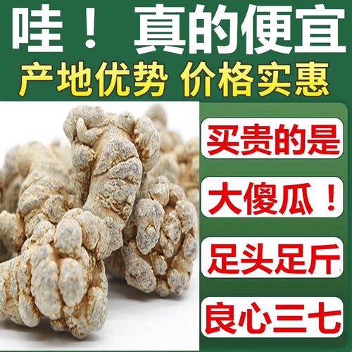 正宗云南文山春三七特级20头30头野生田七滑头无剪口批发正品500g