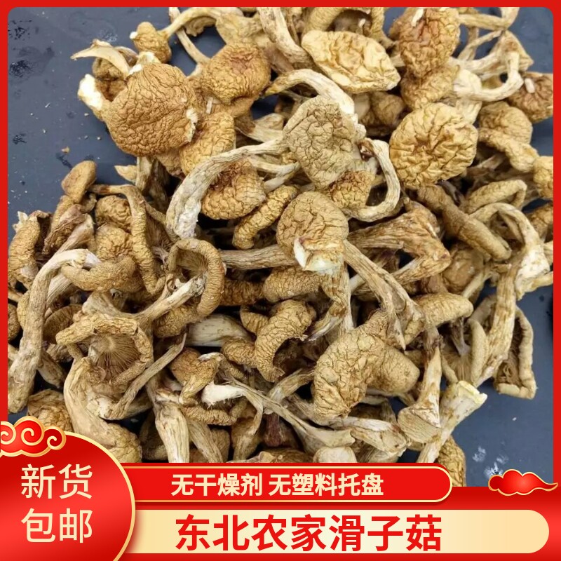 东北特产滑子菇干货500g包邮滑子蘑小鸡炖蘑菇小黄蘑野生蘑菇