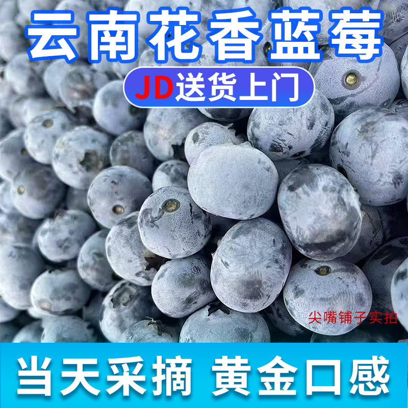 云南花香草莓新鲜现摘