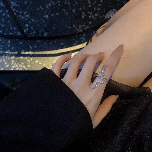 蛇形设计师戒指女ins学生小众