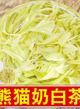 特N0熊猫奶白茶2025新茶正品浓香奶香特级白茶黄金芽罐装袋装