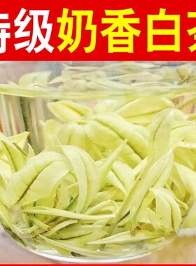 2025新茶【特N0奶香白茶】熊猫奶白茶正宗白茶珍稀白茶礼盒罐装