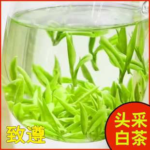 特级珍稀白茶明前嫩芽【致遵】2025新茶头采茶叶高档正宗茶批农发