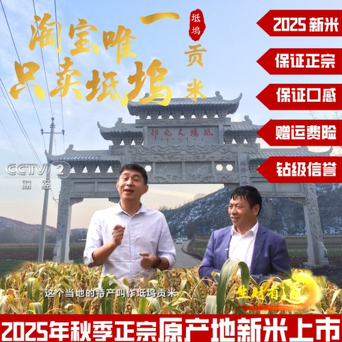 2025年正宗坻坞贡米河南特产