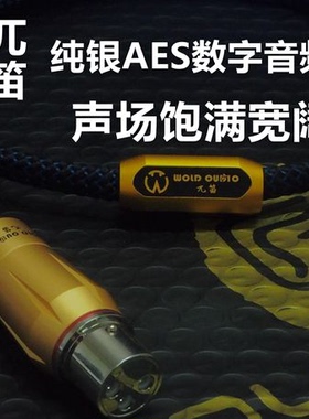 纯银 AES 音频线 信号线  数播 转盘 解码器 DAC 110欧 卡侬 XLR