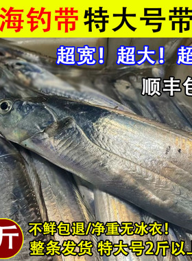超大带鱼新鲜冷冻白刀鱼钓带整条发大鲜活捕捞冷冻整箱10斤特