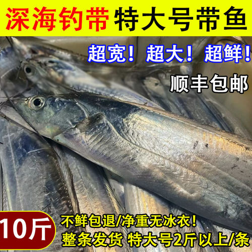 超大带鱼钓带无冰衣顺丰包邮