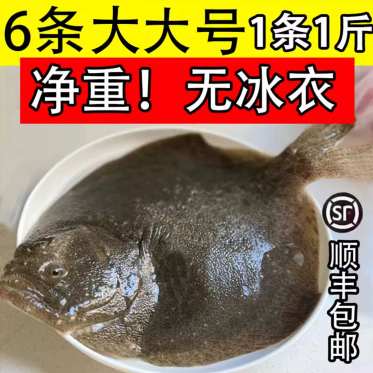 多宝鱼鲜活速冻海鱼包邮顺丰3条