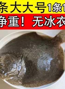 多宝鱼鲜活速冻新鲜大个比目鱼平鱼冷冻海捕大海鱼海鲜水产3斤
