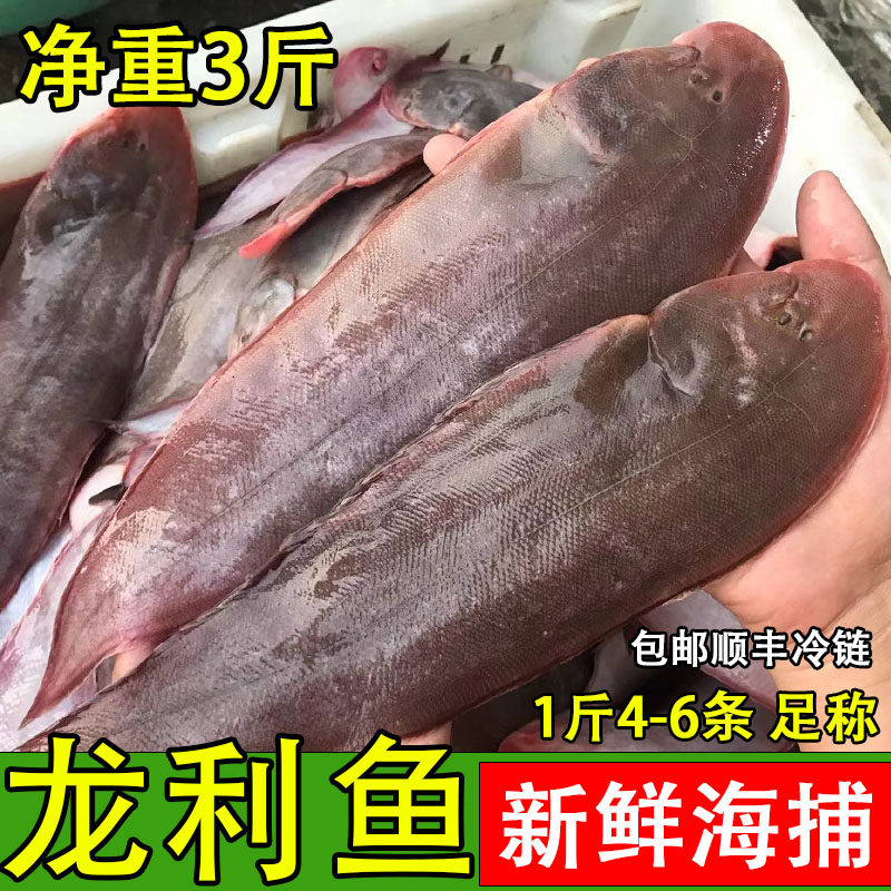 新鲜海鲜大踏板鱼舌头鱼龙利鱼舌鳎鱼鲜活冷冻水产海鱼顺丰包邮