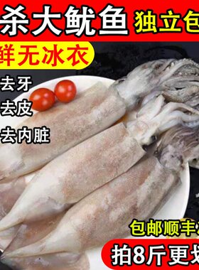 处理大鱿鱼深海鱿鱼三去顺丰包邮