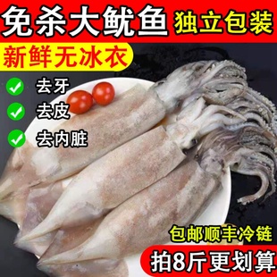 鱿鱼新鲜鲜活冷冻三去超大尤鱼生鲜整只免杀烧烤铁板商用水产海鲜