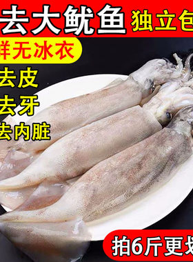 新鲜大鱿鱼去脏去皮去牙包邮冷链