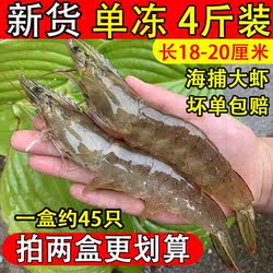 2030大虾鲜活超大新鲜冷冻海虾特大对虾青虾基围虾青岛海鲜水产