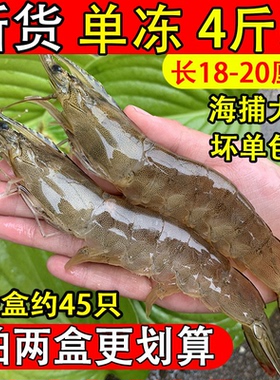 2030大虾鲜活超大新鲜冷冻海虾特大对虾青虾基围虾青岛海鲜水产