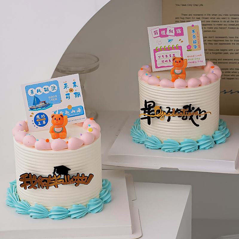 2025我们毕业啦亚克力蛋糕装饰乘风破浪未来可期毕业季派对插件