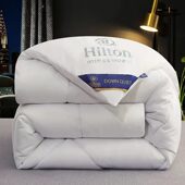 quilt winter Hilton Hotel duvet autumn warm 羽丝绒被芯冬被子