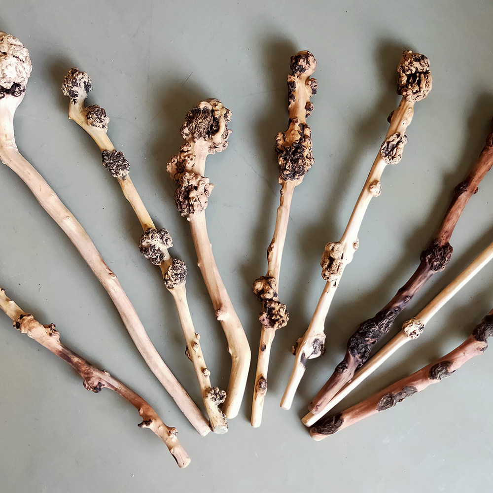 YUNNAN BLACK FRUIT TREE TUMOR HAND HANDLE PIECE LONGEVITY MASSAGE STICK FITNESS SELF-DEFENSE PLAY STICK CAMELLIA WOOD BACK HAMMER NATURAL ROOT