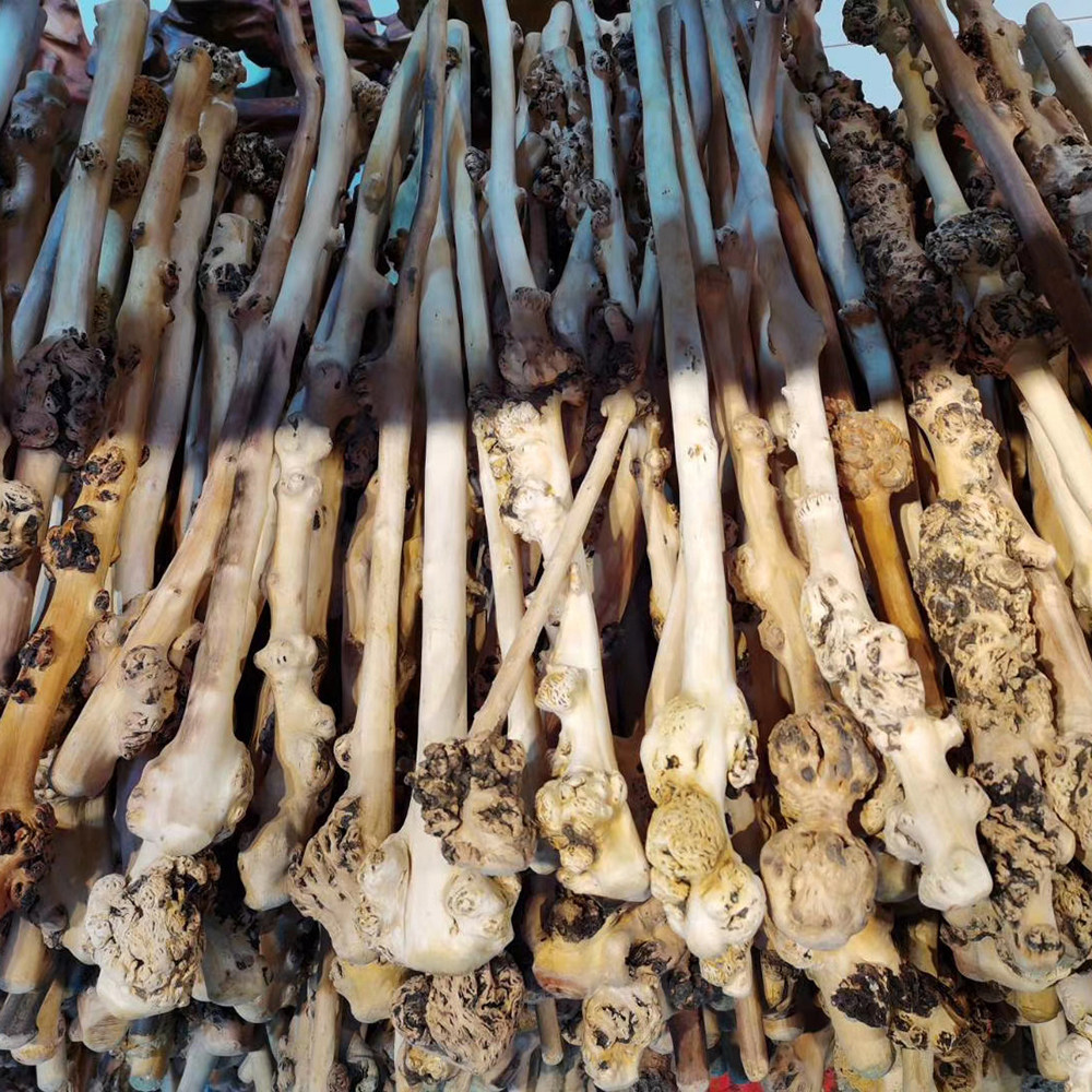YUNNAN BLACK FRUIT TREE TUMOR HAND HANDLE PIECE LONGEVITY MASSAGE STICK FITNESS SELF-DEFENSE PLAY STICK CAMELLIA WOOD BACK HAMMER NATURAL ROOT