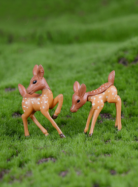 小鹿情侣 苔藓微景观生态瓶 多肉植物盆栽盆景 DIY装饰迷你小摆件