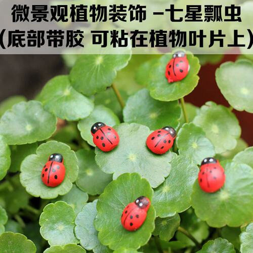 多肉植物苔藓微景观生态瓶创意DIY装饰 仿真迷你七星瓢虫 小甲虫
