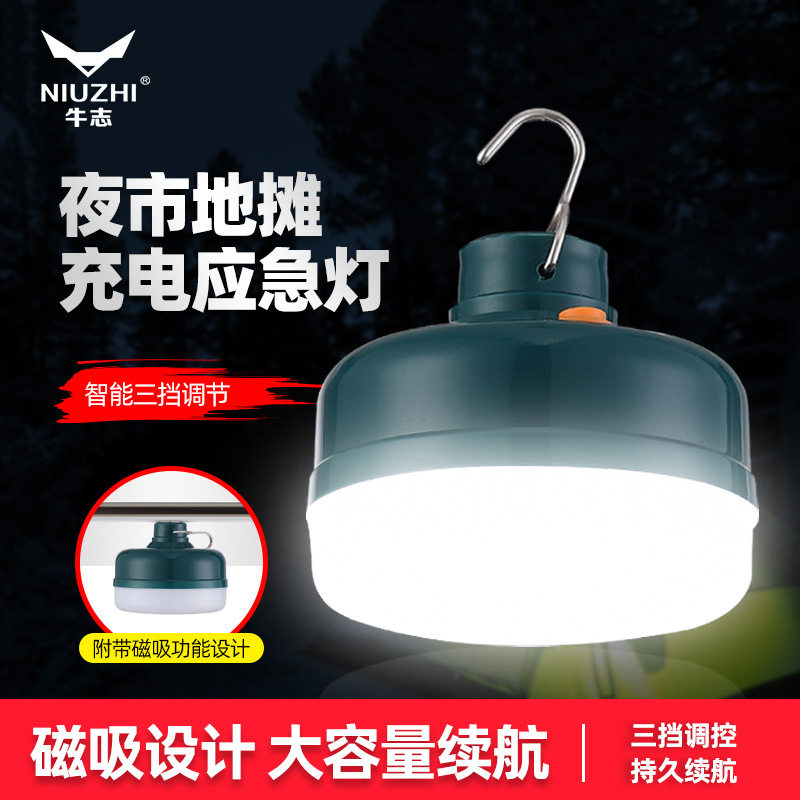 牛志摆摊户外照明充电灯泡