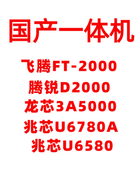 飞腾FT-2000腾锐D2000龙芯3A5000兆芯U6780A6580 国产一体机 电脑