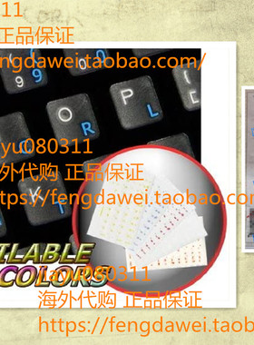 Dvorak Simplified Keyboard Stickers with Blue Lettering ON T