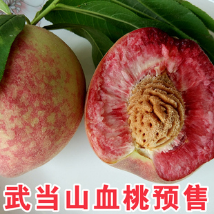 神农架武当山高山血桃毛桃新鲜水果农家猪血桃桃子5斤包邮