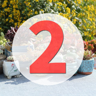 直播专用链接2号