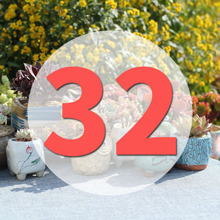 直播专用链接32号