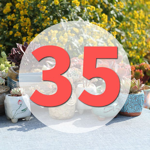 直播专用链接35号