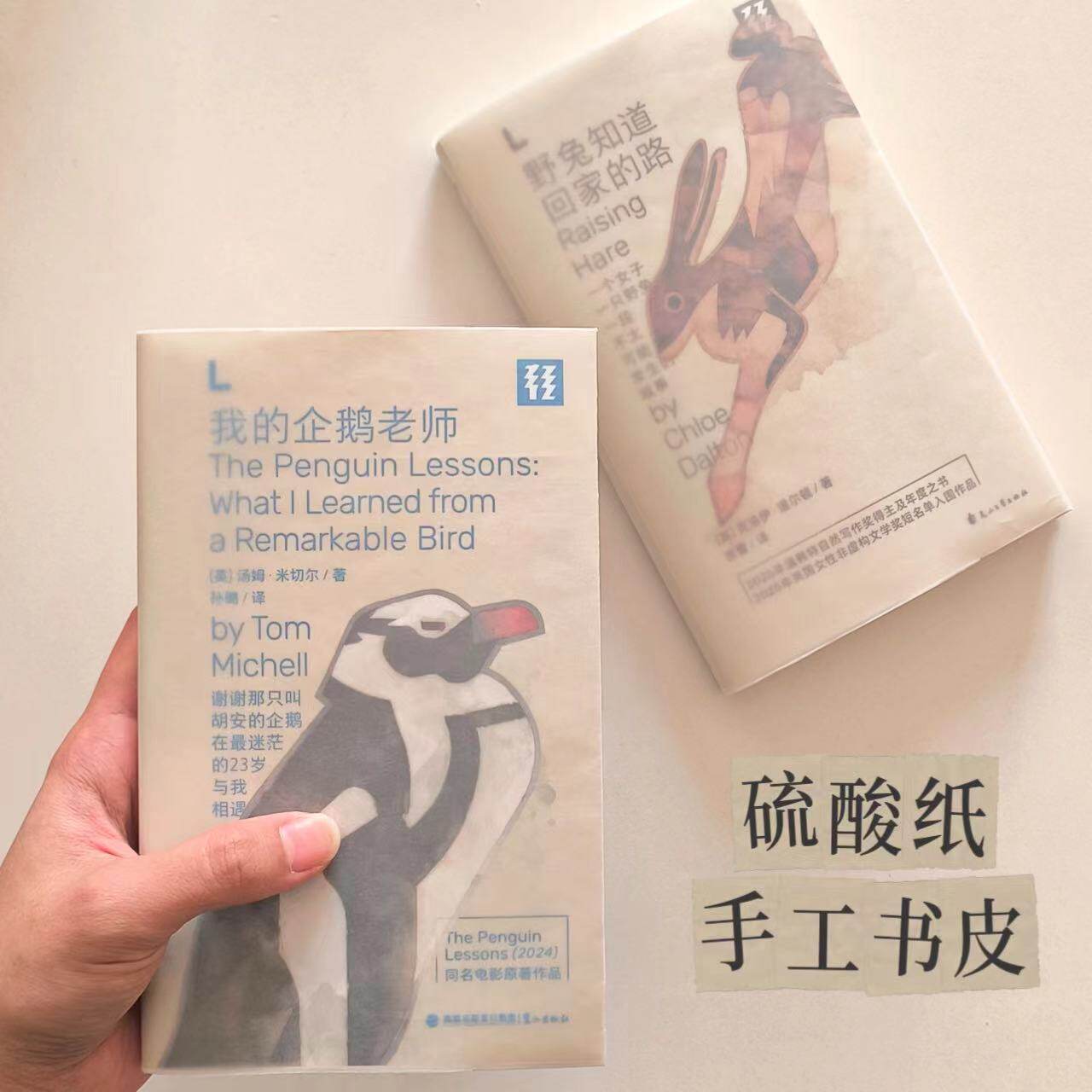 手工DIY硫酸纸半透磨砂书皮图片