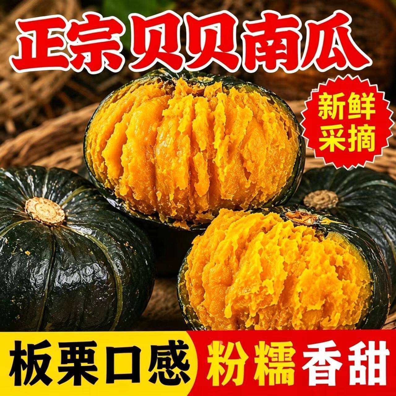 甘肃农家贝贝南瓜板栗味粉糯现摘