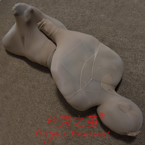 极密全包丝袜牢固全身木乃伊连裤袜包裹连体男女款丝妖久久束缚袜