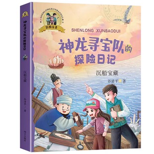 ——沉船宝藏 彩图注音 神龙寻宝队 探险日记