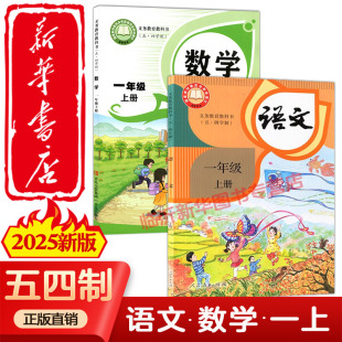 五四學制青島版 2025年 數學1一年級上冊課本 語文1一年級上冊 54制人教版 新改版 54制小學1一年級上冊語文數學書全套2本部編版