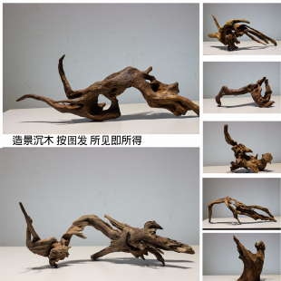 鱼缸造景沉木装 饰造景小鱼缸中小南美原生流木躲避天然摆件紫柚